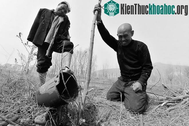 10 khoảnh khắc cảm xúc lay động trái tim