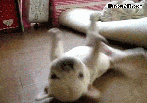 10 tấm ảnh GIF đầy "ma mị" mà bạn không thể ngừng xem (1)