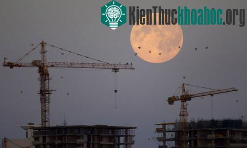 Đàn chim in bóng trên Mặt trăng khổng lồ ở Minsk, Belarus.