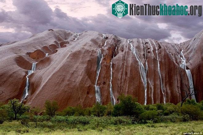 Uluru chuyển mình khi có mưa lớn trong vùng, và có thể nhìn thấy các con sông chảy xuống từ rìa đá.