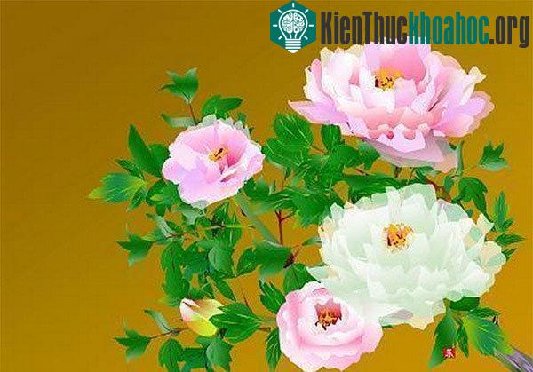 Nếu nhìn kỹ, bạn sẽ thấy mỗi cánh hoa có một hình dáng riêng