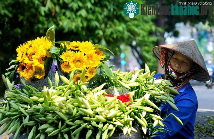 Hoa theo chân những người bán rong xuống phố. Mỗi bó 10 bông có giá 35.000 đồng.