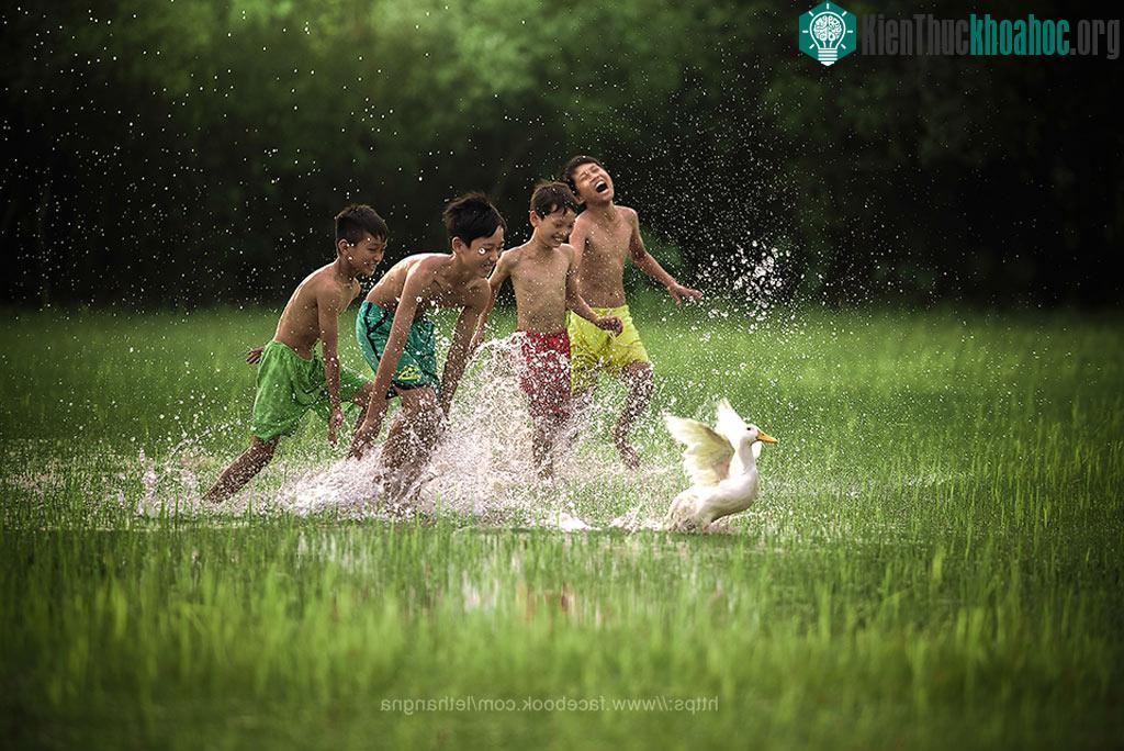 Hay những trò đùa nghịch loạn tung đồng quê