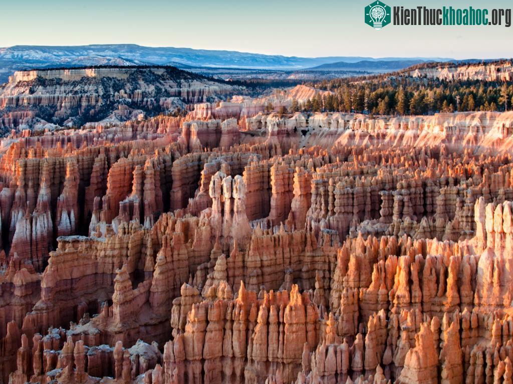 Khu rừng đá Bryce Amphitheater ở hẻm núi Bryce, Utah, Mỹ, bừng sáng dưới ánh nắng