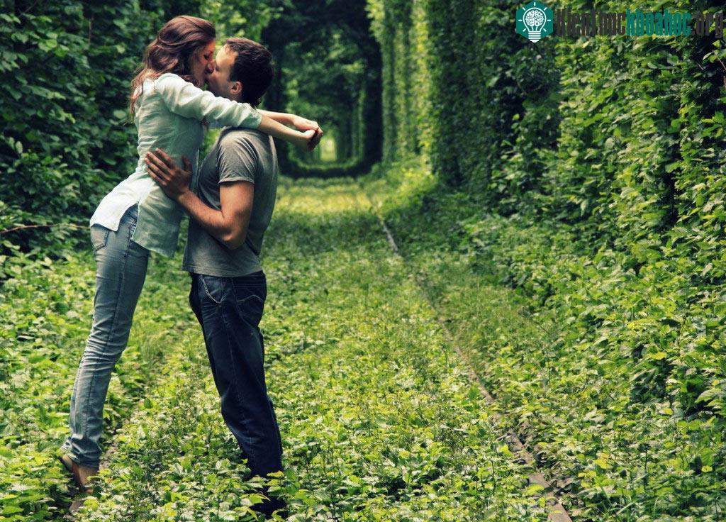 Chính những bụi cây trồng san sát, đều nhau với những tán lá đan quyện tạo thành mái che biến nó thành một con đường hầm cổ tích tuyệt đẹp.