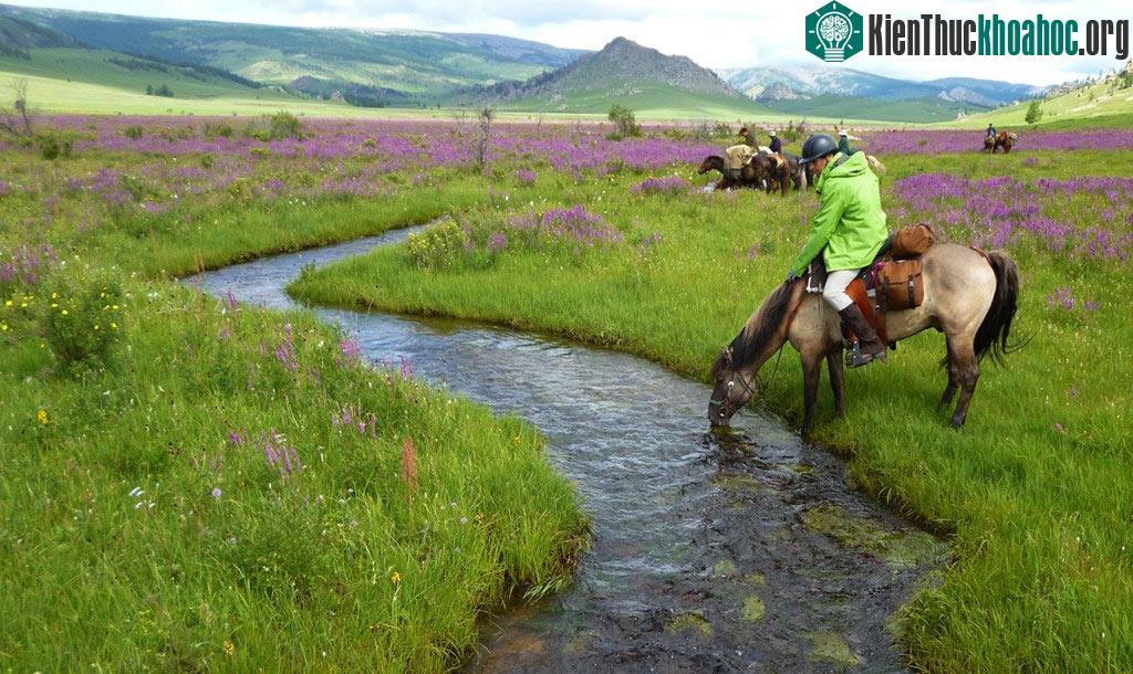 Công viên quốc gia Gorkhi-Terelj, Mông Cổ: Cách Ulaanbaatar khoảng 1 tiếng rưỡi đi xe, công viên quốc gia này cho du khách thoát khỏi cuộc sống đô thị ồn ào, nhộn nhịp. Ngủ tại các căn lều du mục, ...