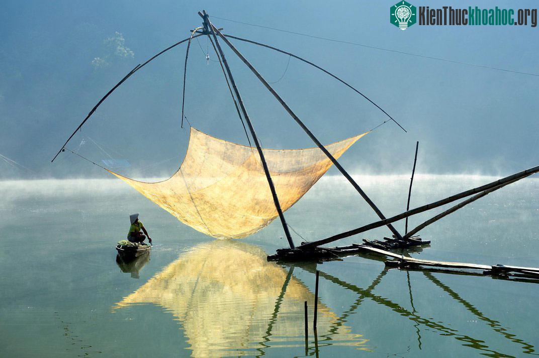 Tác giả Lý Hoàng Long với tác phẩm chụp một lão nông đang dắt xe chở đó tre được đánh giá cao ở cuộc thi Nhiếp ảnh gia du lịch của năm 2015 (TPOTY).