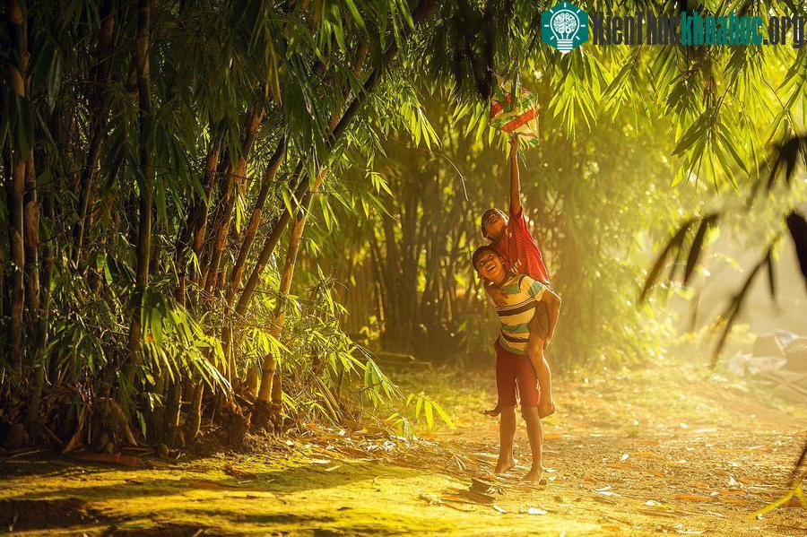 Cuộc sống yên bình nơi làng quê Việt ảnh 9