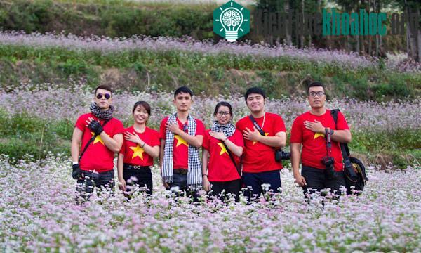 Hà Giang rực rỡ mùa hoa tam giác mạch