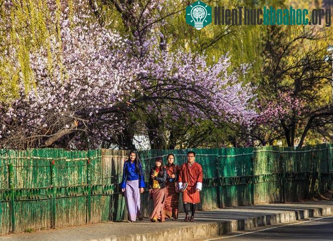 Những khoảnh khắc tuyệt đẹp ở mảnh đất huyền bí Bhutan