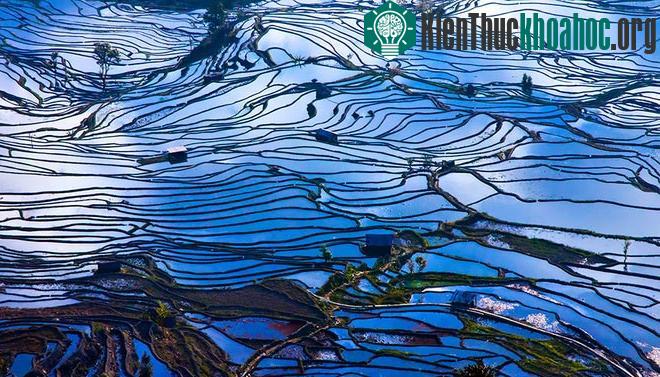 Sững sờ trước những ruộng bậc thang đẹp nhất trên khắp thế giới- ảnh 10