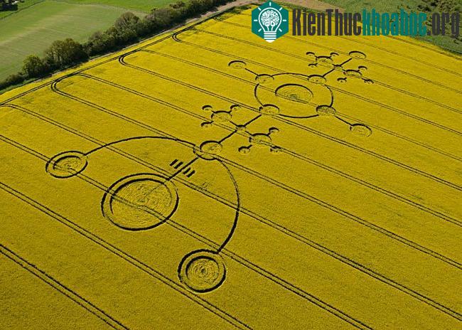 Những vòng tròn bí ẩn trên cánh đồng- ảnh 10