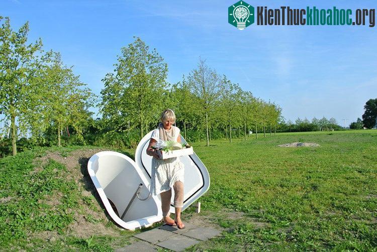 Tủ lạnh đặt dưới lòng đất.