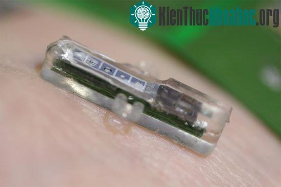 Thiết bị kiểm tra máu có kích thước siêu nhỏ - (Ảnh: EPFL)