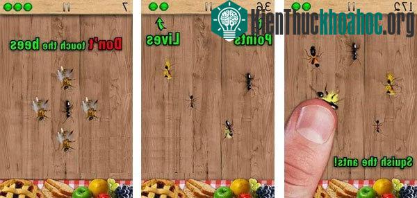 Ant Smasher for Android