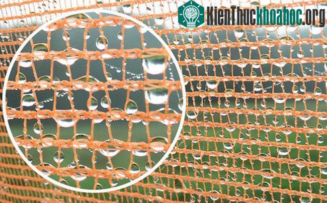 Nước ngưng tụ sẽ được chuyển xuống một màng lọc rồi đi vào thùng chứa