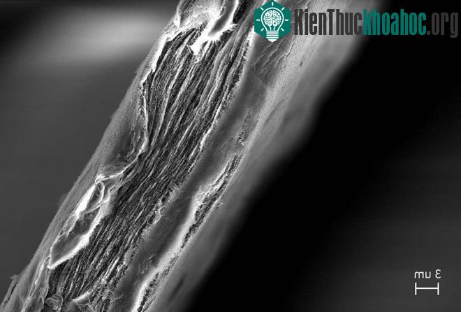 Hình ảnh giấy lọc dưới kính hiển vi chứa hàng ngàn lớp - có khả năng lọc bỏ virus nhỏ nhất.
