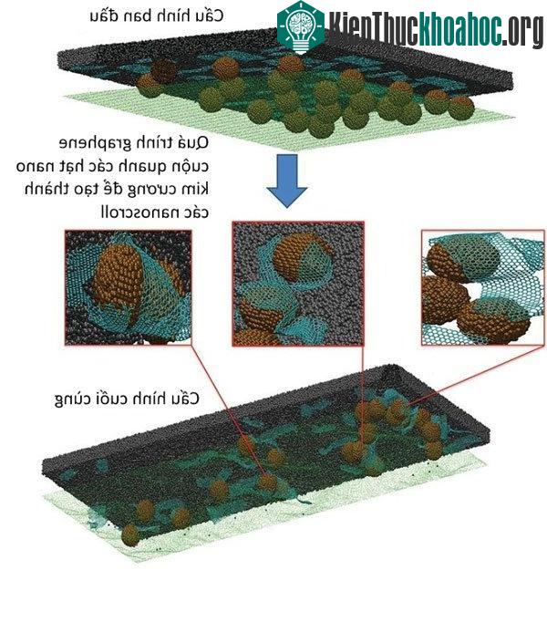 Hình tính toán mô phỏng quá trình tạo thành các hạt nanoscroll​