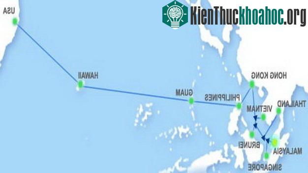 Đứt cáp quang AAG tiếp tục gây ảnh hưởng đến việc kết nối giữa khu vực Đông Nam Á với Mỹ