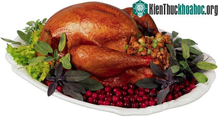 Một tế bào gốc duy nhất có thể tạo ra đến 75 bộ phận gà tây giống hệt nhau trong suốt ba tháng.