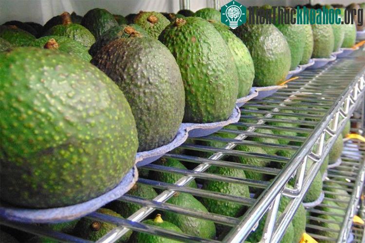 Edipeel giữ nước cho thực phẩm và không để oxy xâm nhập vào trong.