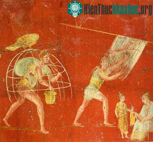 Phát minh kỳ quặc từ phân và nước tiểu tự cổ chí kim