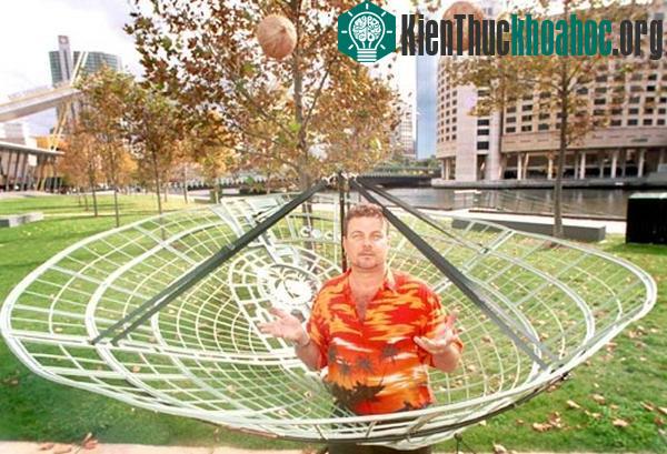 Tấm lưới để hứng dừa, đảm bảo không quả nào rơi xuống đất.