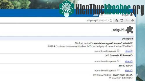 Vô hiệu hoá các plug-in không thật sự cần