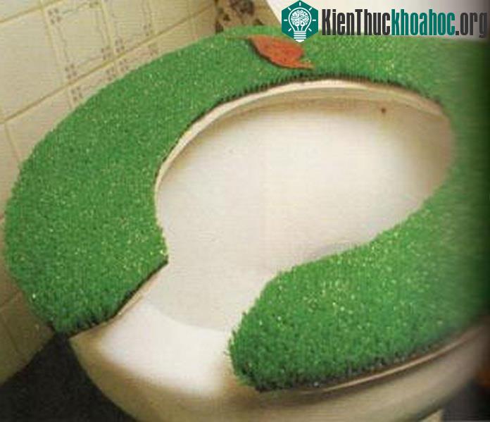 Chiếc bồn cầu bảo vệ môi trường này nhìn có vẻ luộm thuộm và hơi... bẩn.