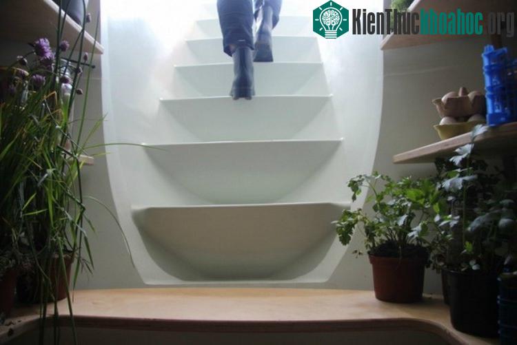Chiếc tủ này có sức chứa lên đến 3000 lít.