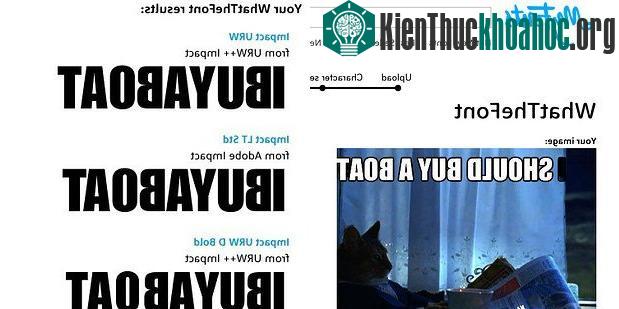 20 trang web kỳ quặc trên thế giới