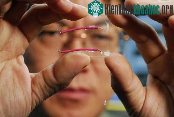 Các phát minh khiến thế giới sửng sốt trong 10 năm tới