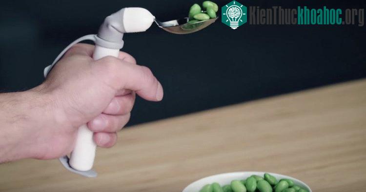 Thiết bị hỗ trợ ăn uống