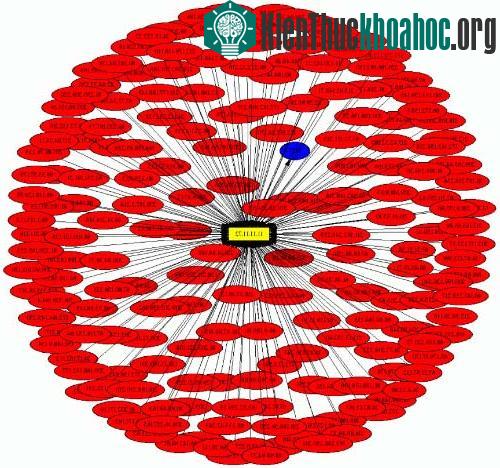 13 virus máy tính nguy hiểm nhất thời đại