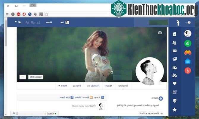 Facebook Flat