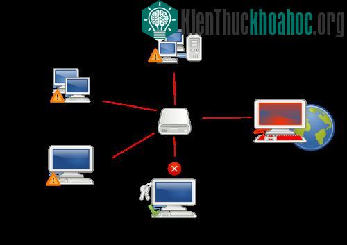 13 virus máy tính nguy hiểm nhất thời đại