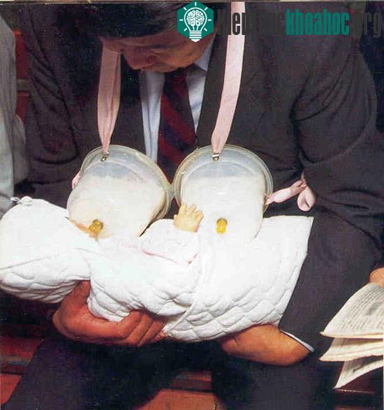 Bình sữa Daddy