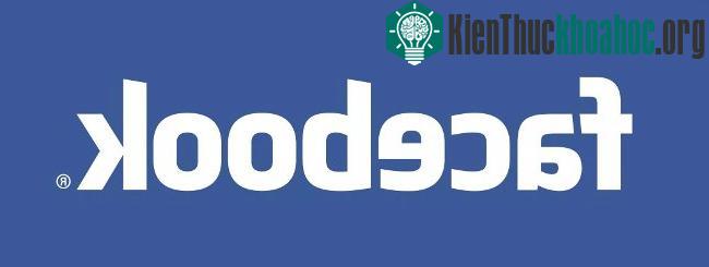 Tại sao Yahoo màu tím, Google bảy sắc còn Facebook có màu xanh da trời? ảnh 8