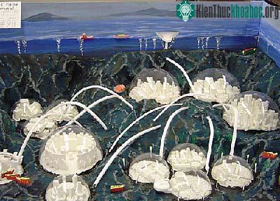 Mô hình thành phố dưới đáy biển. (Ảnh: fulbrightmemorialfund)