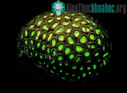 Những bức ảnh thiên nhiên ấn tượng ảnh 0