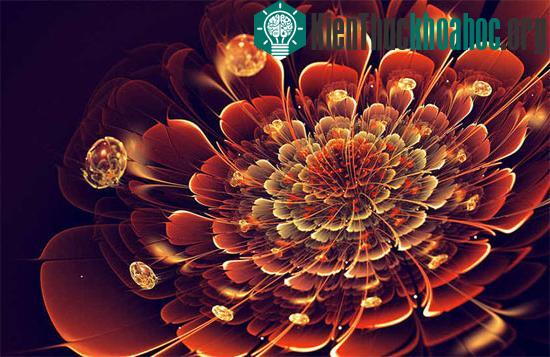 Fractal là một vật thể hình học thường có hình dạng gấp khúc trên mọi tỷ lệ phóng đại, và có thể được tách ra thành từng phần…