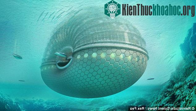 Nó được thiết kế chống lại sự tác động của thuỷ triều lên, được thiết kế như một sinh quyển khổng lồ nổi trên mặt nước, là nơi trú ẩn an toàn, khép kí