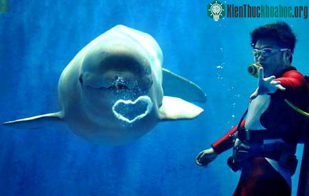 Những trái tim lãng mạn giữa thiên nhiên ảnh 11