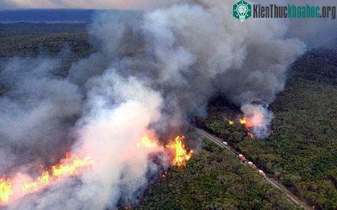 Châu Âu giá rét, Australia nóng nhất 150 năm ảnh 12