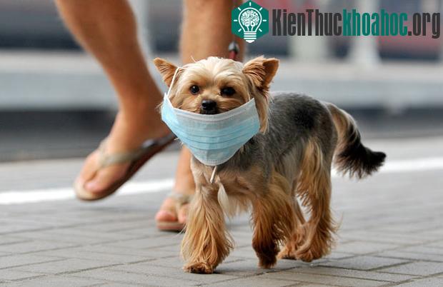 Ảnh đẹp động vật trong tuần ảnh 17
