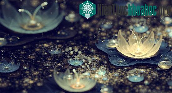 Nói cách khác, khái niệm Fractal là cấu trúc thể hiện sự gần giống nhau về hình dạng của các hình thể kích cỡ khác nhau.