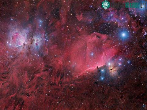 Tinh vân Orion (bên phải ảnh) là vùng tạo sao gần trái đất nhất.