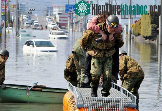 Toàn cảnh về thảm họa tại Nhật ảnh 27