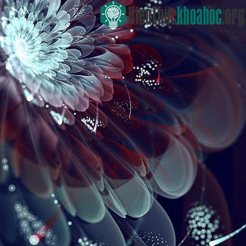 Hình học Fractal ra đời và phát triển với nhiều ý tưởng mới lạ, độc đáo, gợi cho ta một cách nhìn thiên nhiên khác với cách nhìn quá quen thuộc lâu nay.