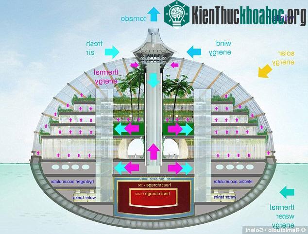 Các phòng được thiết kế chủ yếu bằng kính, thoáng mát, nhiều cây xanh.